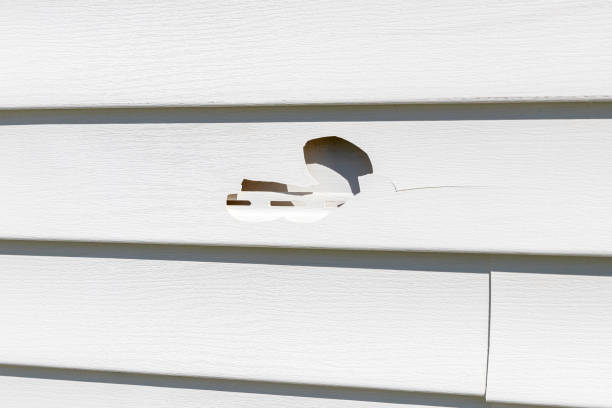 Best Custom Siding Design  in East Orange, NJ