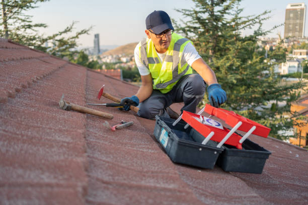 Best Brick Veneer Siding  in East Orange, NJ